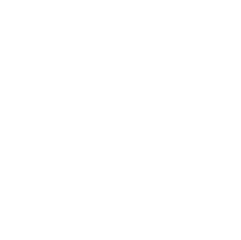 Lerna